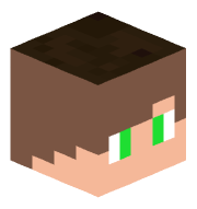 Saneikunn