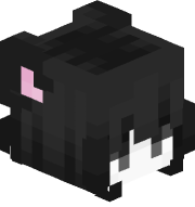 snamkes