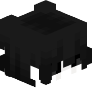 XP_ROFEN