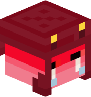 amucooki