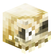 MASTER_PETERO