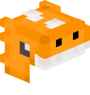 Conot