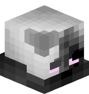 W3ZSD