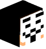 Tete Minecraft de 1supportable