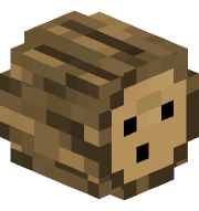 Skegg16