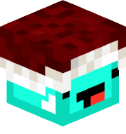 Topinka_33