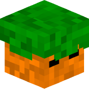 CarrotisCool