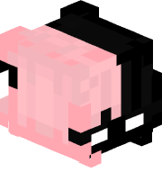 usedtothis