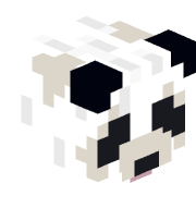 Sliiidez
