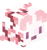 AstraZephyrFox