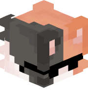 LeVraiMiniPi