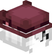 legitadonut