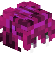 Volzn