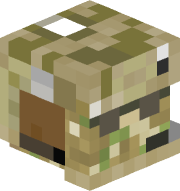 TSOChief