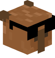 RoniFK