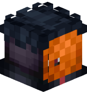 CinarV