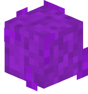 Hanzforfuture