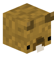 qwack3