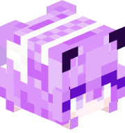 sl23py