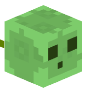 jonstas12