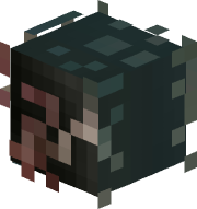 turtlesgo