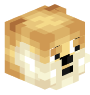 DogeT