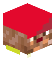9L9P