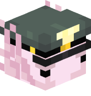Ziorkoz