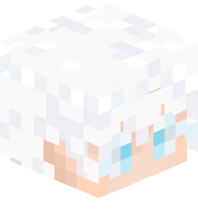 Renix2_2110