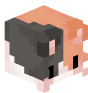 KKNecmi