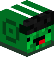 turtleracer24