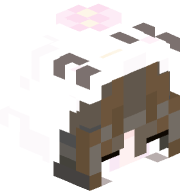 user_ksun_0097
