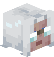 JZNova