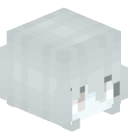 afsn