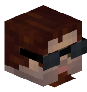 Saniser