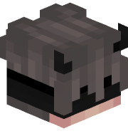 Zoritoo