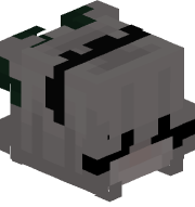 7bn_