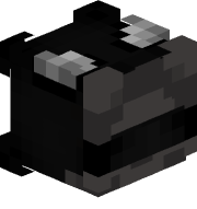 nacpanypies_