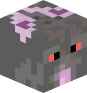 Ratto_builder336