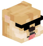 thetinydoge4521