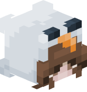 cpvp_n0mmzi