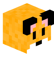 Pocyden