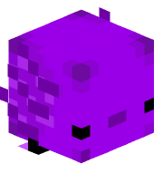 Purple_Ax0lotl