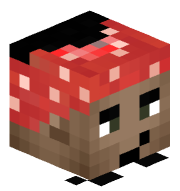 zwis_