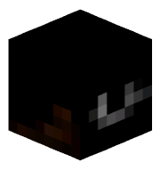 xynet