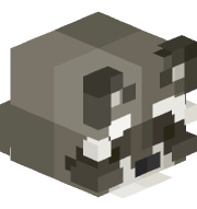 TheRaccoonJoon