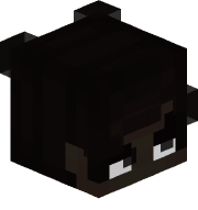 raveTZP1BvUA