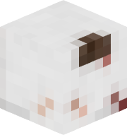 Kombii1