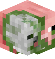 webz_ontop