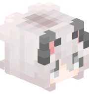 2DimensionalCat